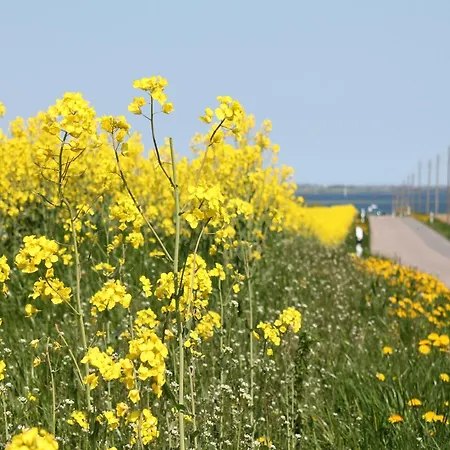 In Gluecksburg Near Seabeach Apartment *